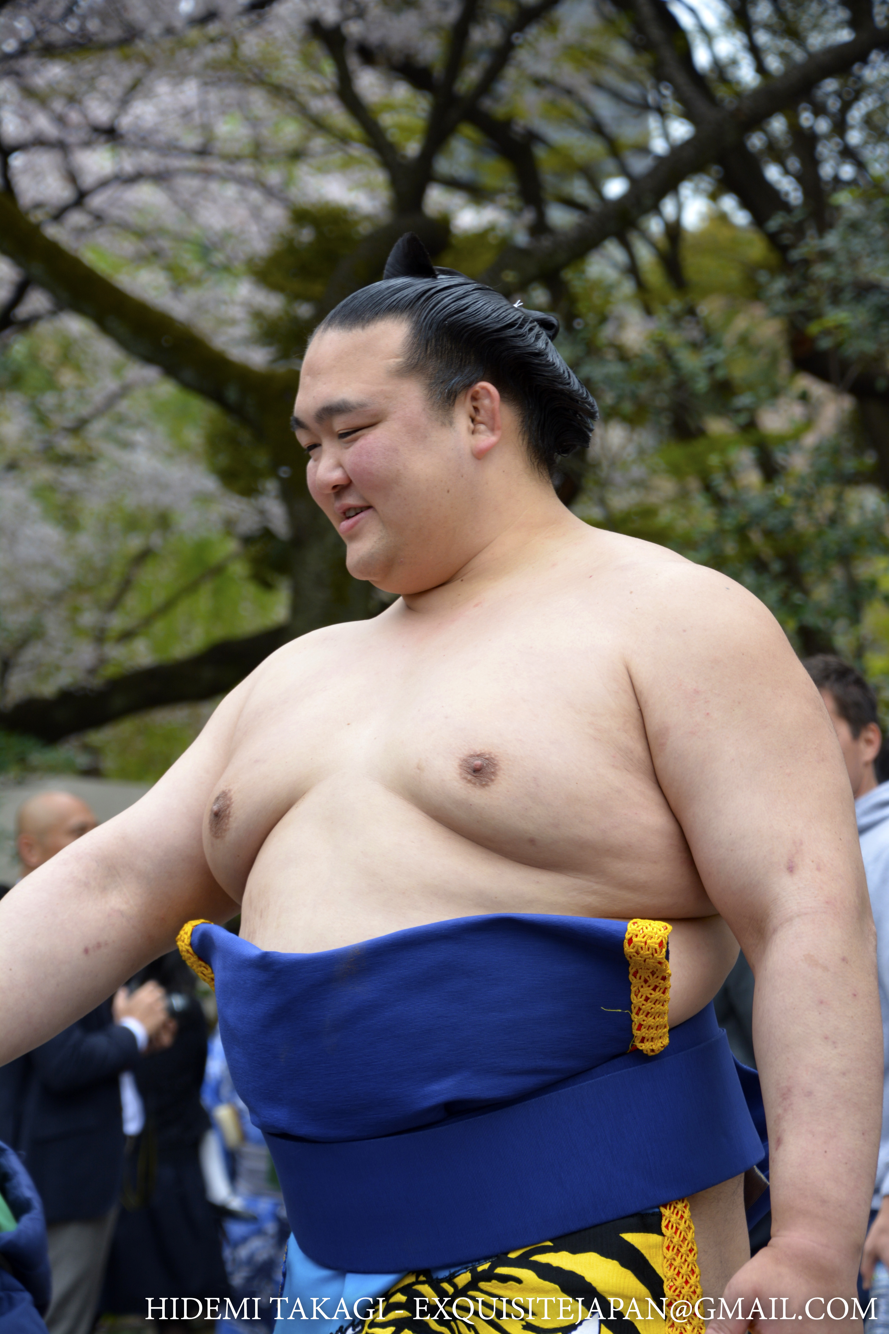 15 Things to Know About Sumo Wrestler in Japan – Trip-N-Travel