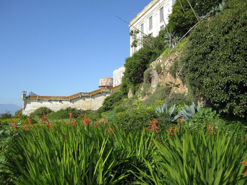 The Gardens of Alcatraz