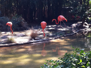 Fresno Zoo