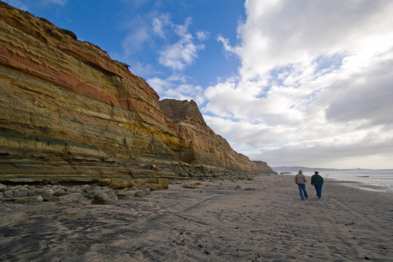 Torry Pines State Natural Reserve