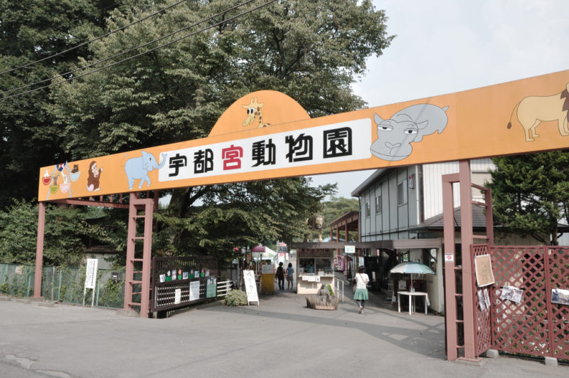 utsunomiya zoo