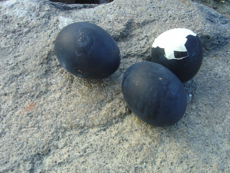 Hakone black egg