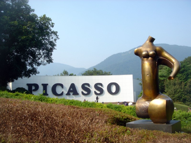 The Picasso Collection